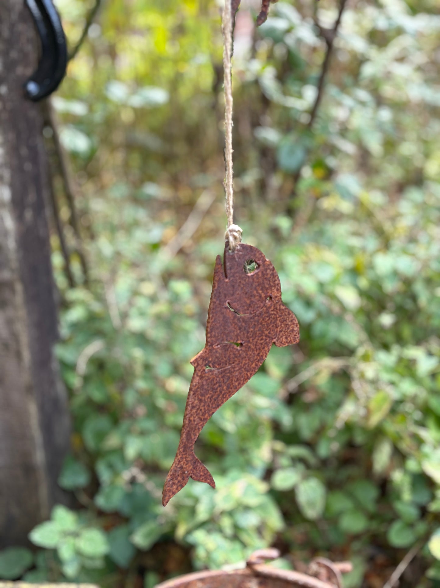 Cortenstaal vissertje