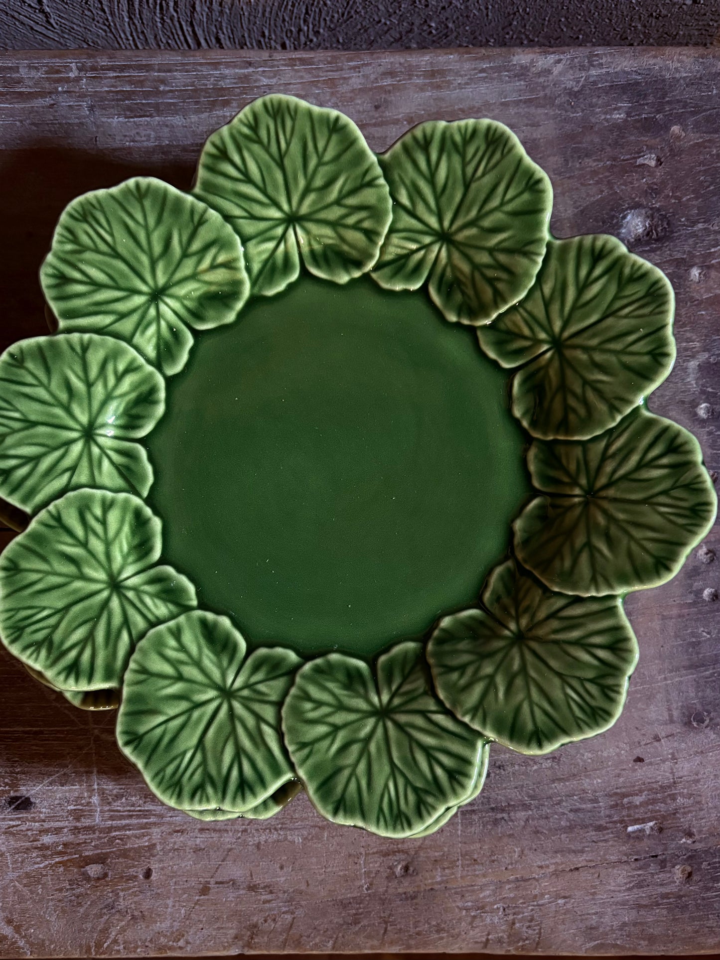 BORDALLO dinnerplate geranium