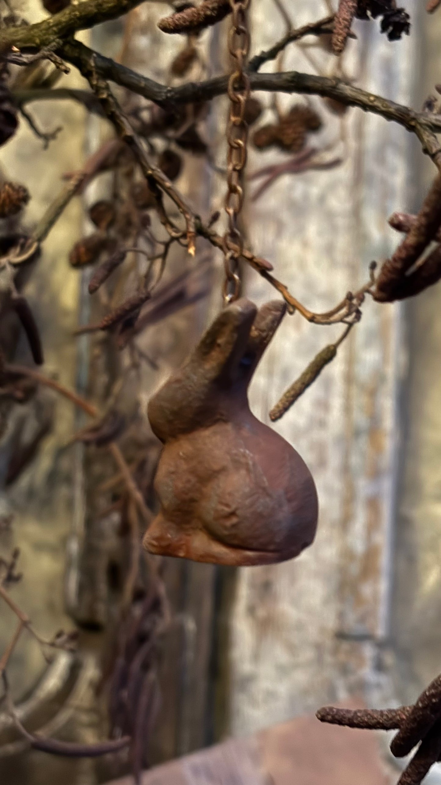 Paashaasje roest