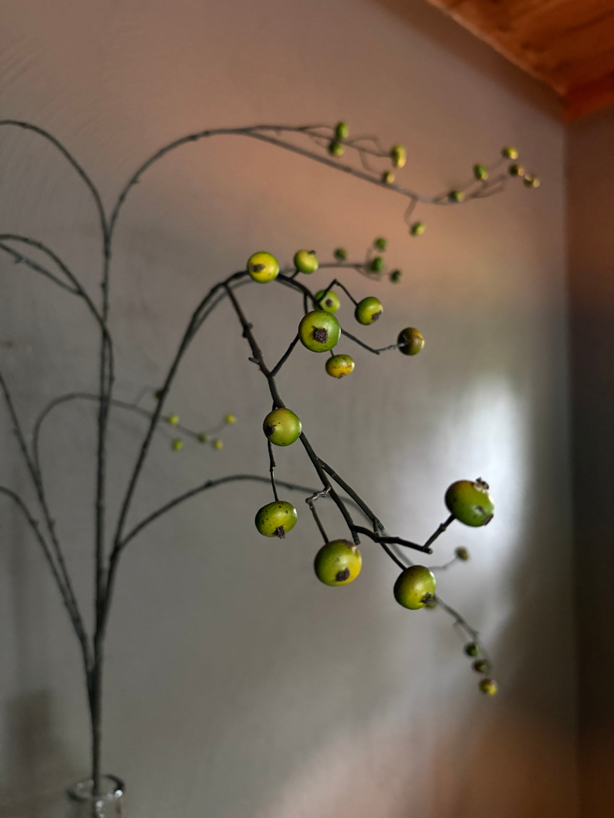 Ilex bes groen L